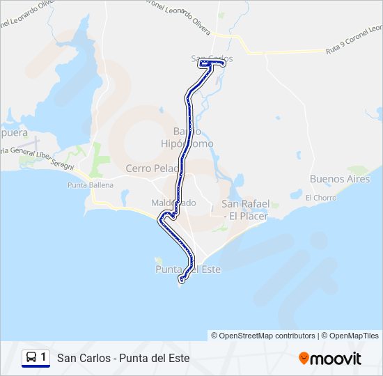 Mapa de 1 de autobús