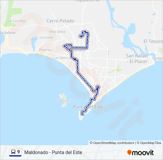 9 Bus Line Map