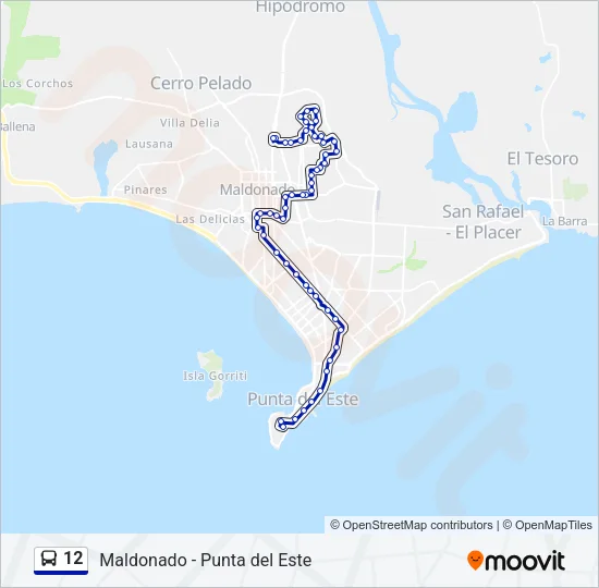12 Bus Line Map