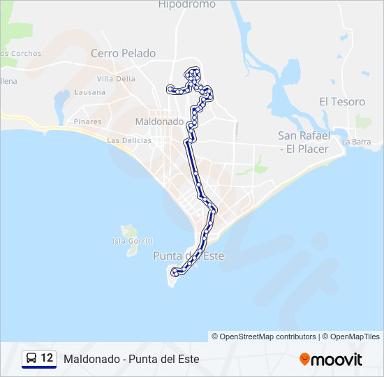 12 bus Line Map