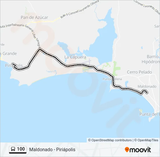 100 Bus Line Map