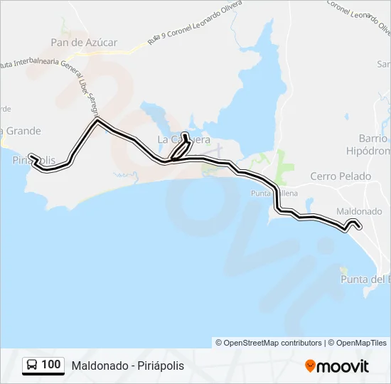 100 Bus Line Map