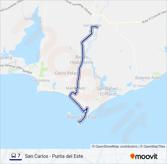 7 Bus Line Map