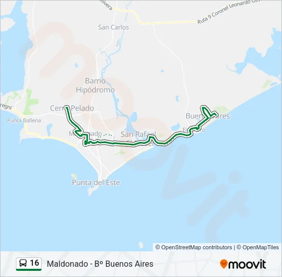 16 Bus Line Map