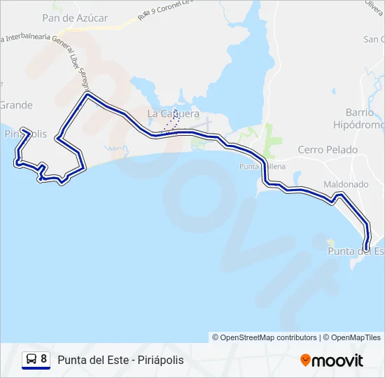 8 Bus Line Map