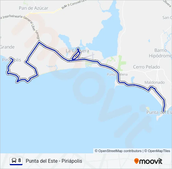 8 Bus Line Map