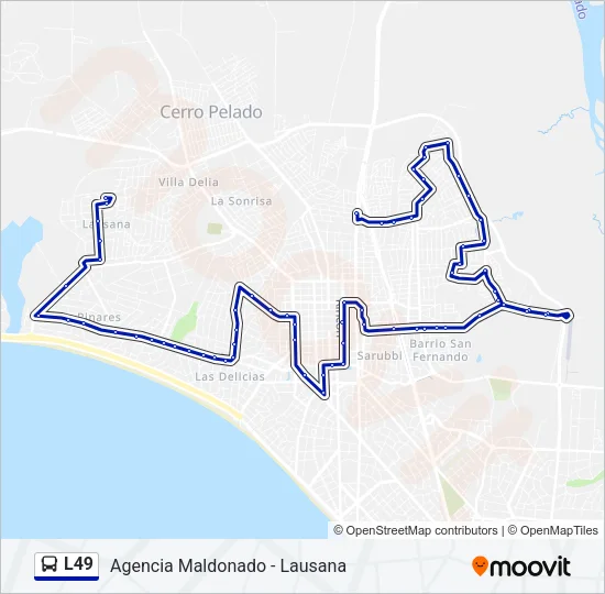L49 Bus Line Map