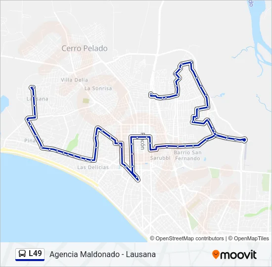 L49 Bus Line Map