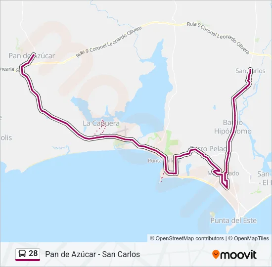 28 Bus Line Map