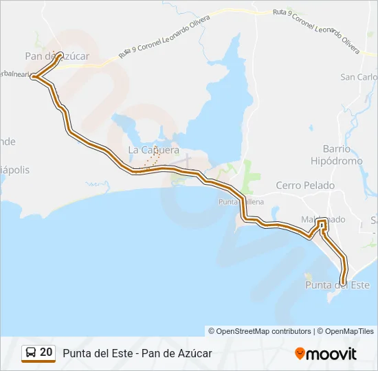 20 Bus Line Map