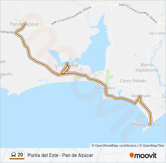 20 Bus Line Map
