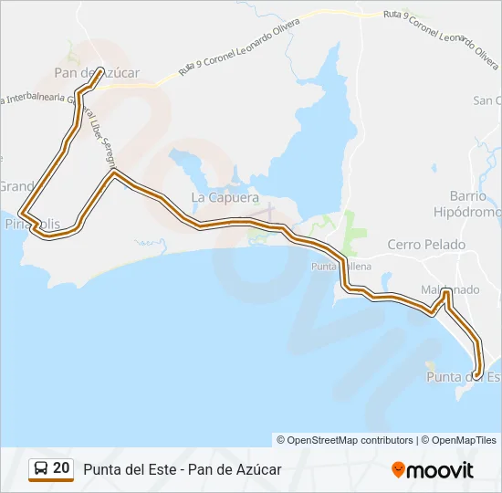 20 Bus Line Map