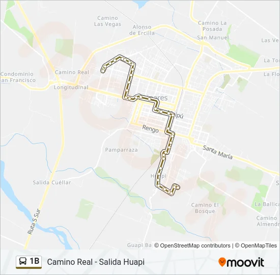 1B Bus Line Map
