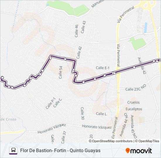 RUTA 160 bus Line Map