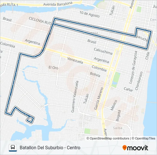 RUTA 100 Bus Line Map