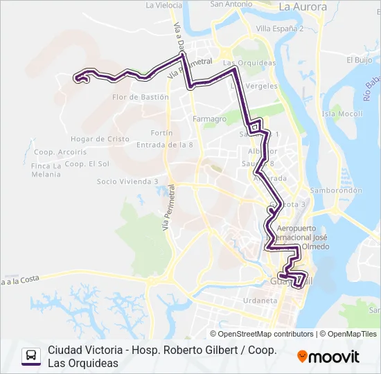 RUTA 131 Bus Line Map