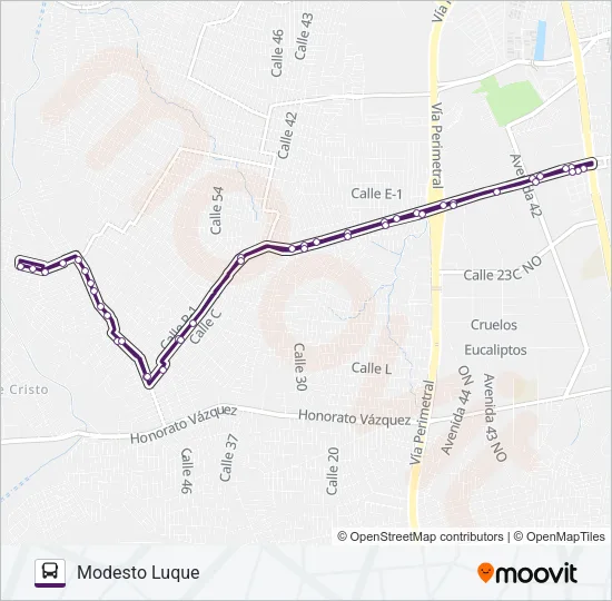 RUTA 162 Bus Line Map