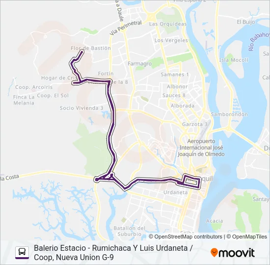 RUTA 8 Bus Line Map