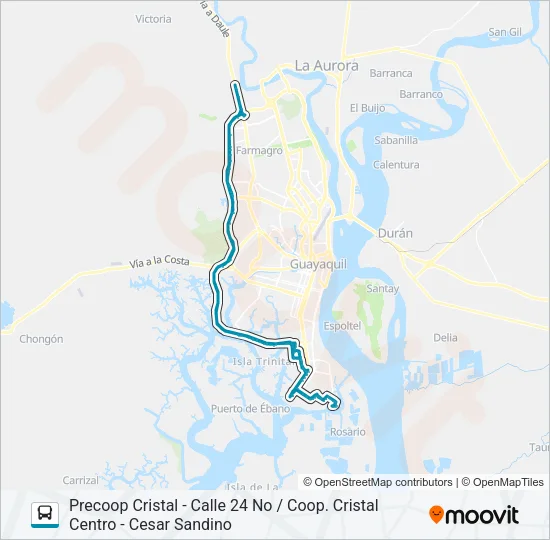 RUTA 103 Bus Line Map