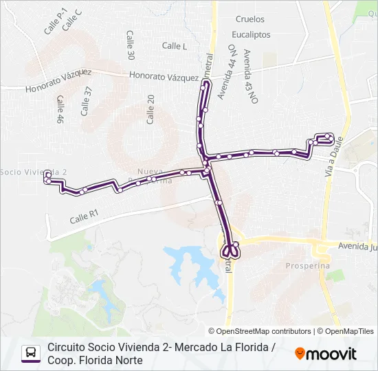 EX05 Bus Line Map