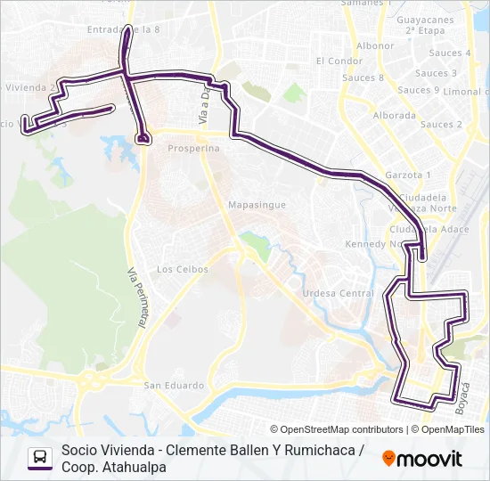 RUTA 21 Bus Line Map