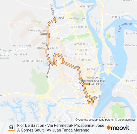 RUTA 12 Bus Line Map