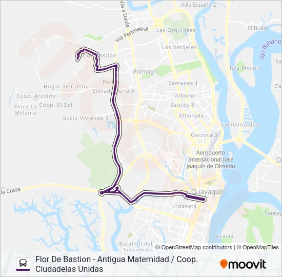 RUTA 49 Bus Line Map