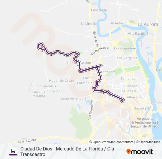 RUTA 161 Bus Line Map