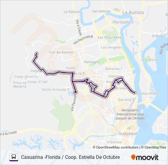 RUTA 132 bus Line Map