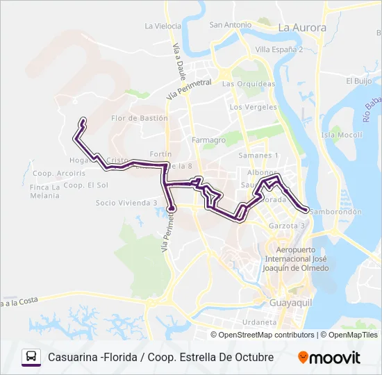 RUTA 132 Bus Line Map