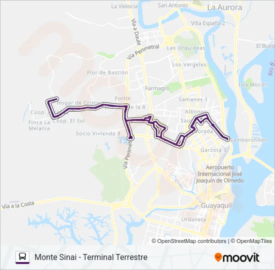 RUTA 136 Bus Line Map