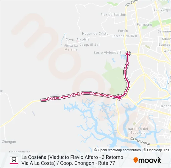 RUTA 145 Bus Line Map
