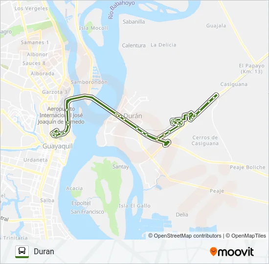 RUTA 81- 3 Bus Line Map