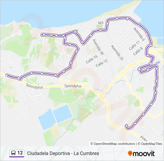 12 Bus Line Map
