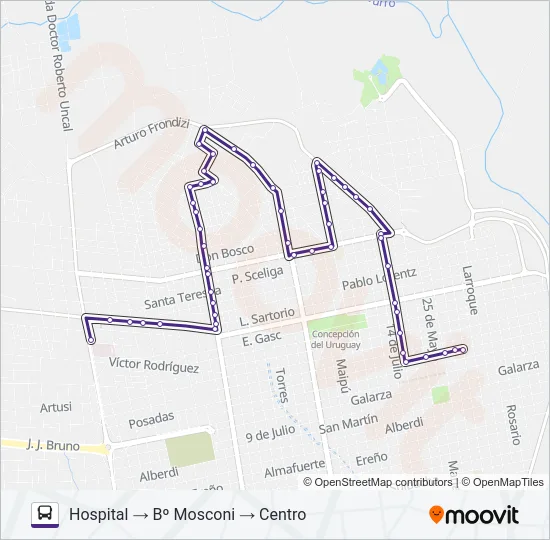 HOSPITAL - CENTRO - Bº MOSCONI Bus Line Map