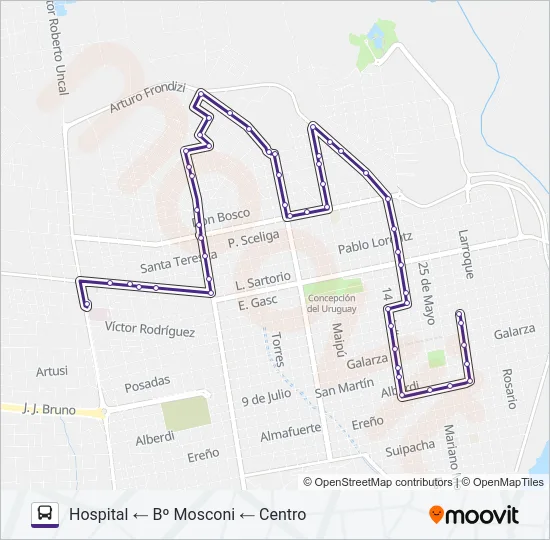 HOSPITAL - CENTRO - Bº MOSCONI Bus Line Map