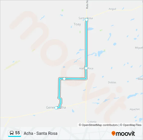 55 Bus Line Map