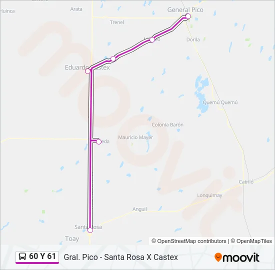 60 Y 61 Bus Line Map