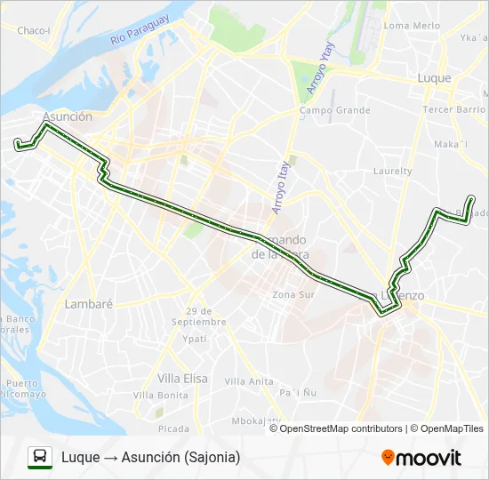 19 Bus Line Map