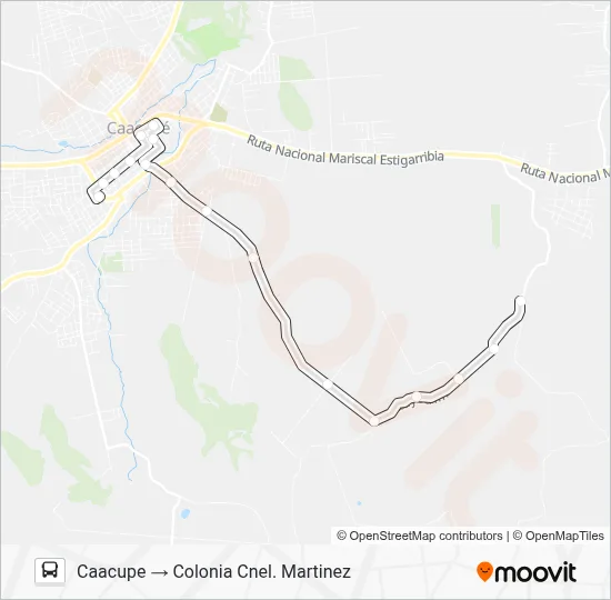 INT CAACUPE Bus Line Map