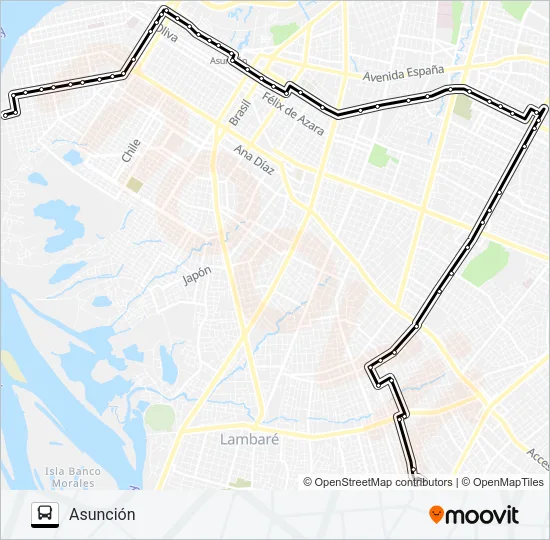 31 Bus Line Map