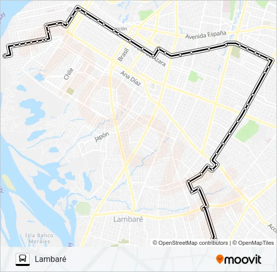 31 Bus Line Map
