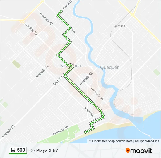 503 Bus Line Map