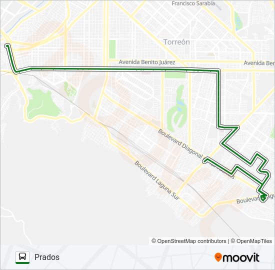 SUR DALIAS Bus Line Map