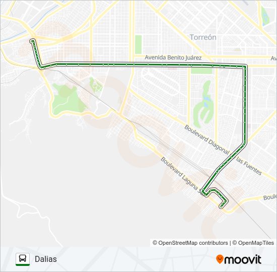 SUR DALIAS Bus Line Map
