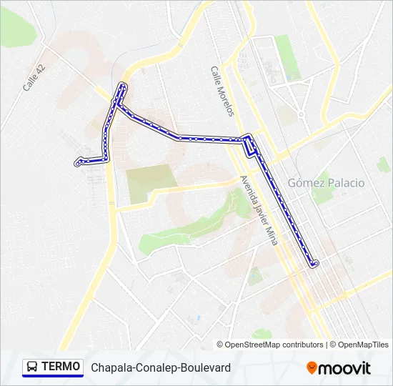 TERMO Bus Line Map