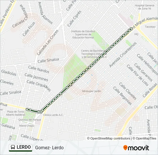 LERDO Bus Line Map