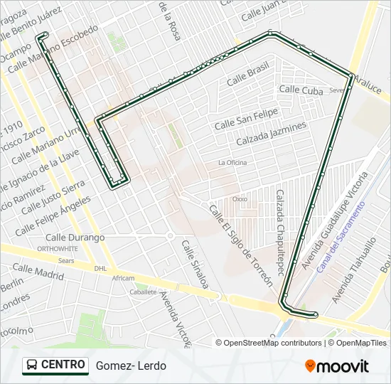 CENTRO Bus Line Map
