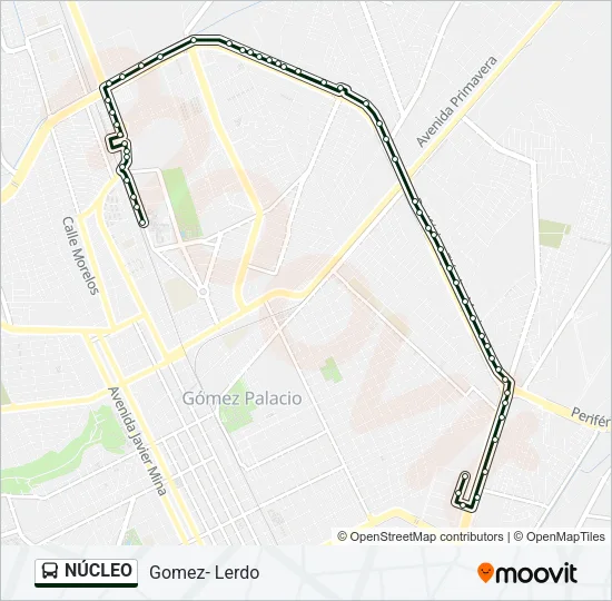NÚCLEO Bus Line Map