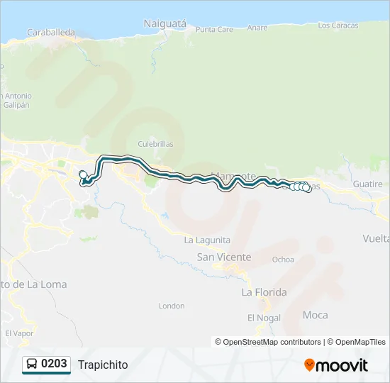 0203 Bus Line Map